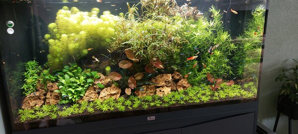 20230618_143825.jpg