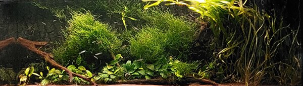 20230622_221547.jpg
