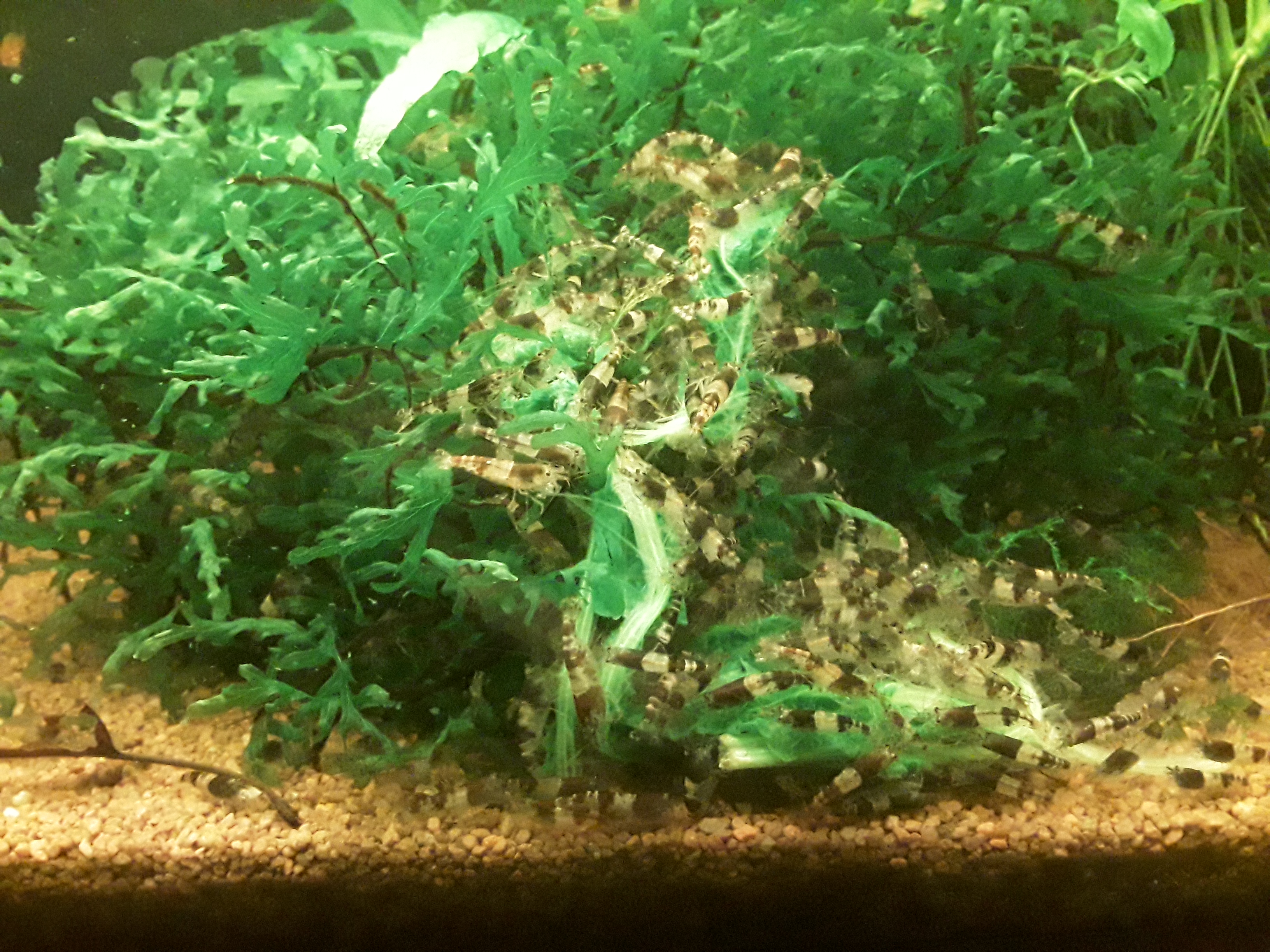 20230809_210933.jpg