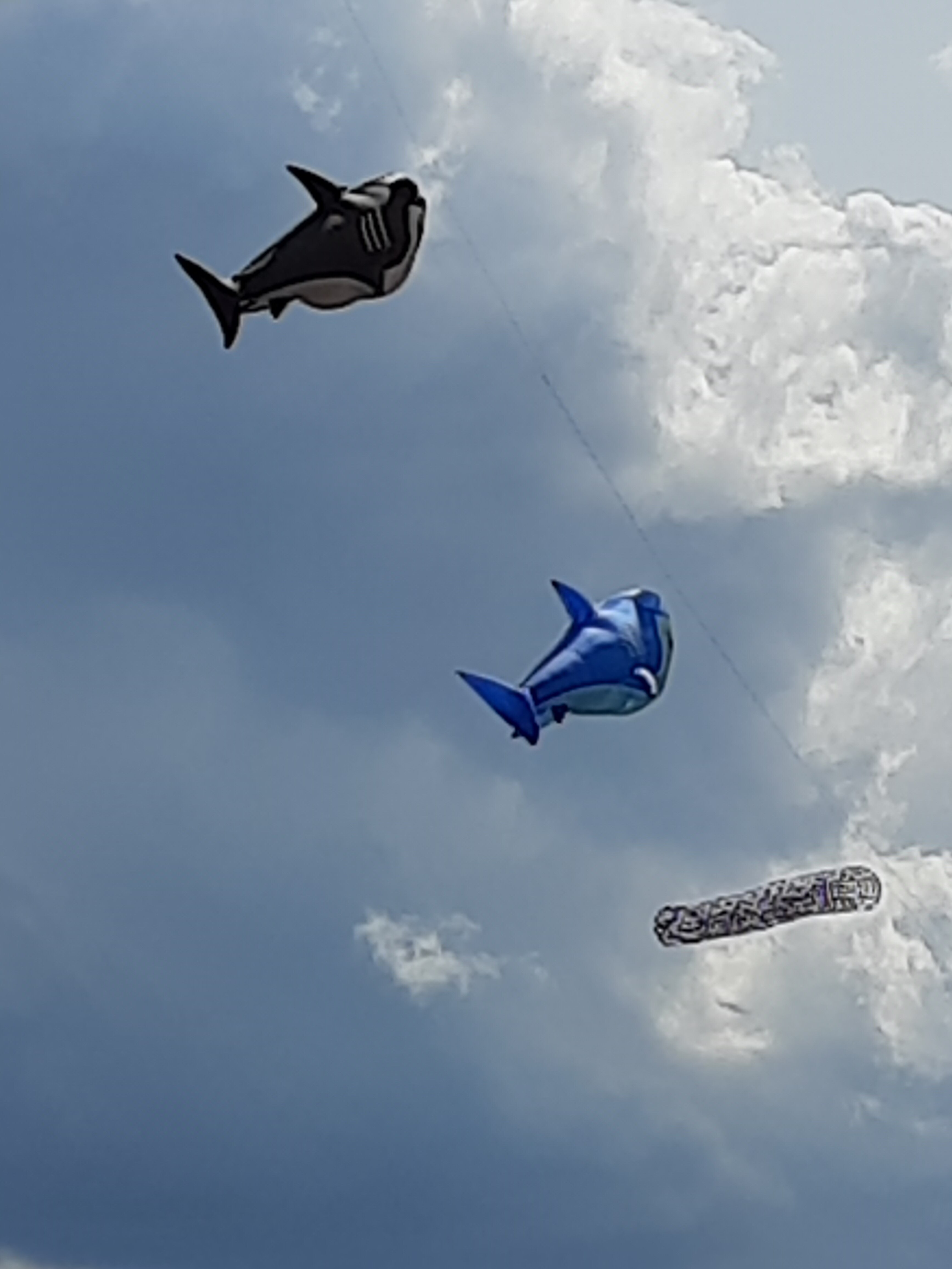 20230826_144050.jpg