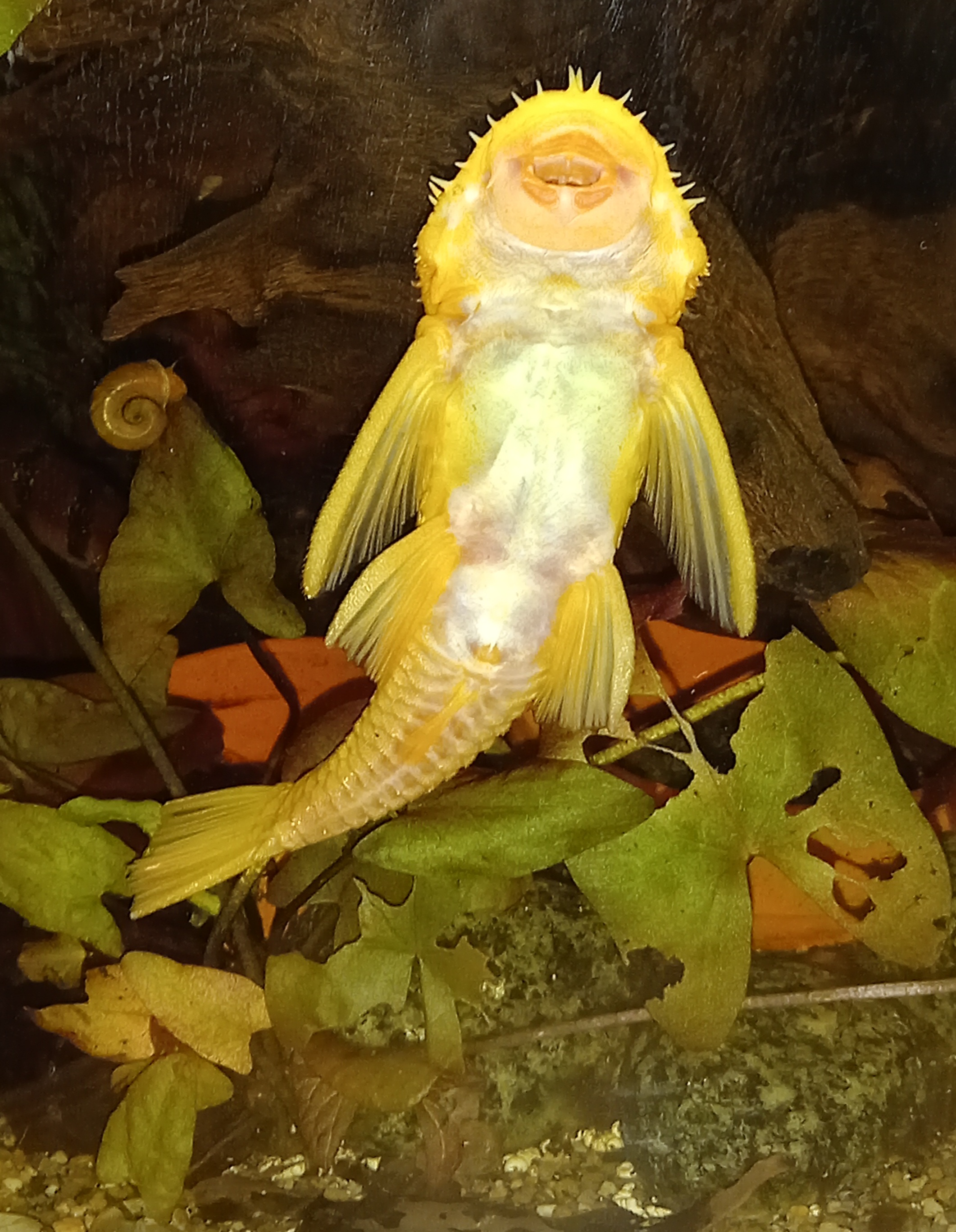 20230902_210343.jpg