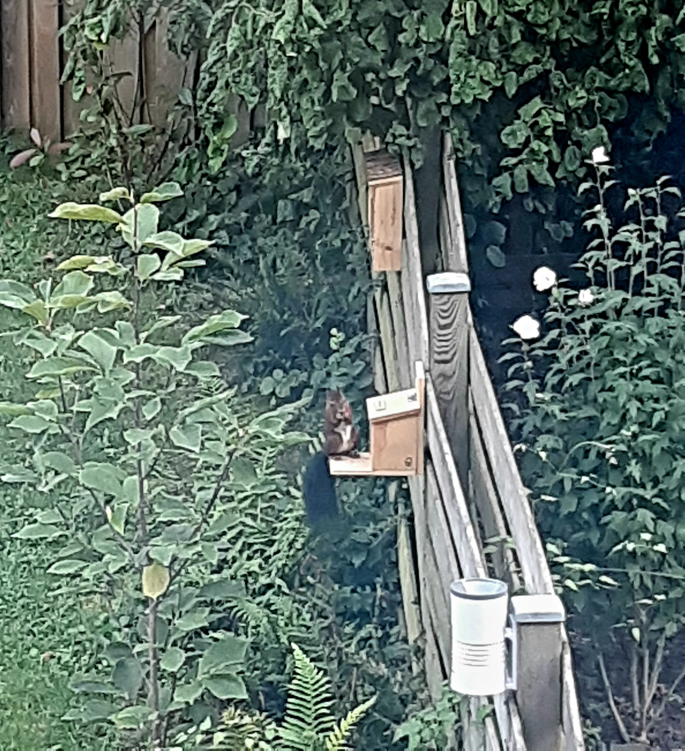 20230910_174655.jpeg