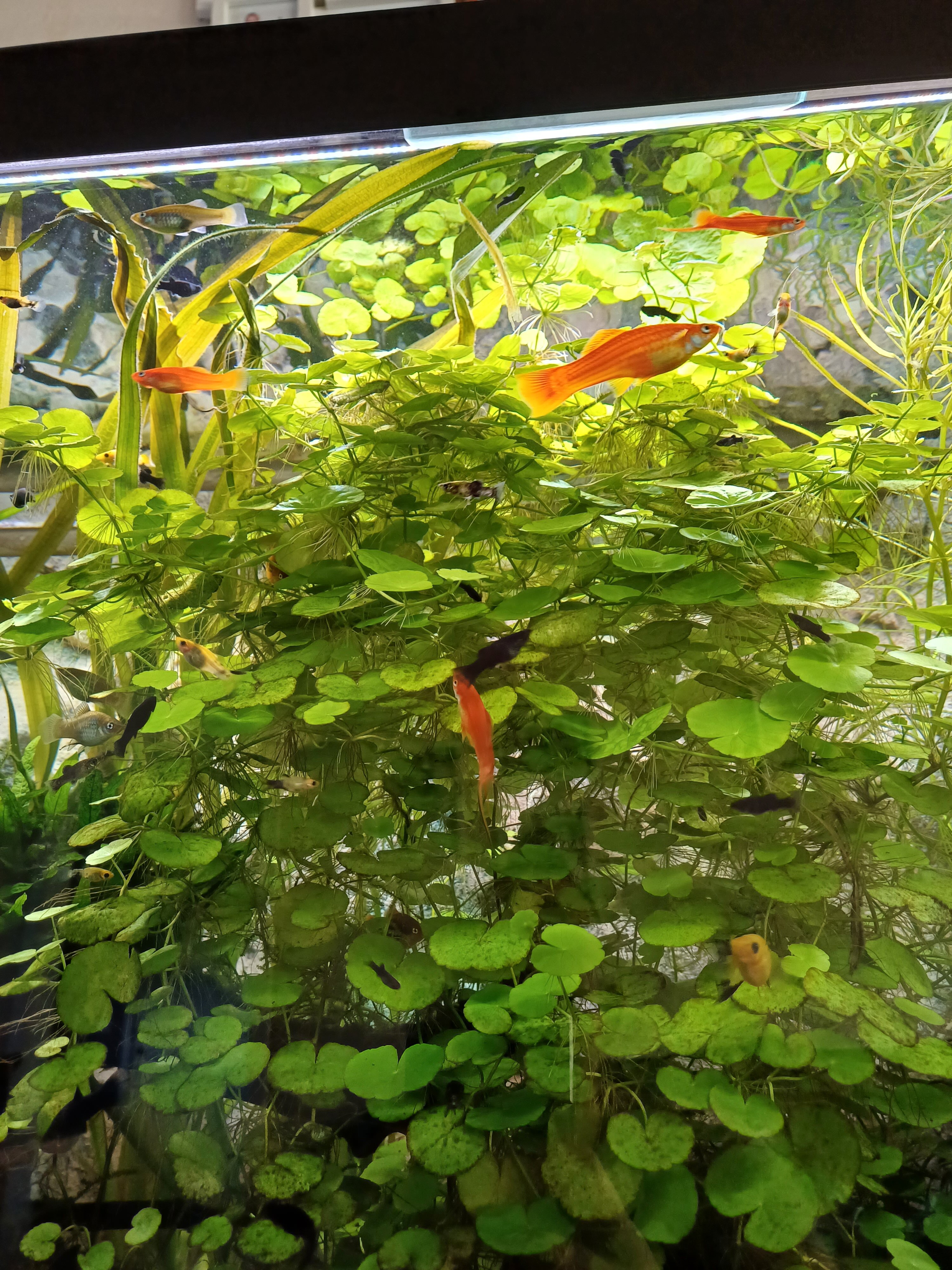 20230916_123721.jpg
