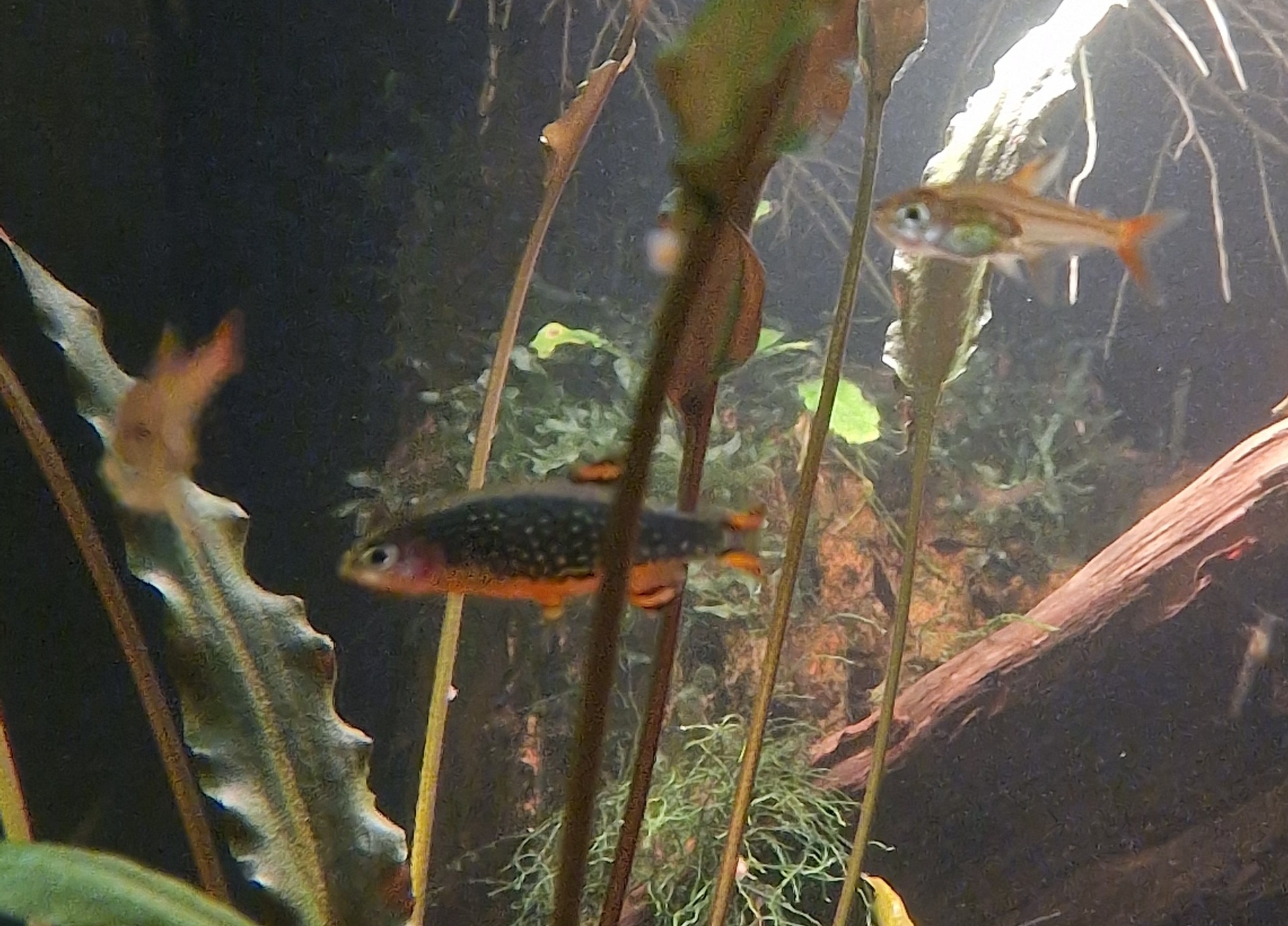 20231022_092519.jpg