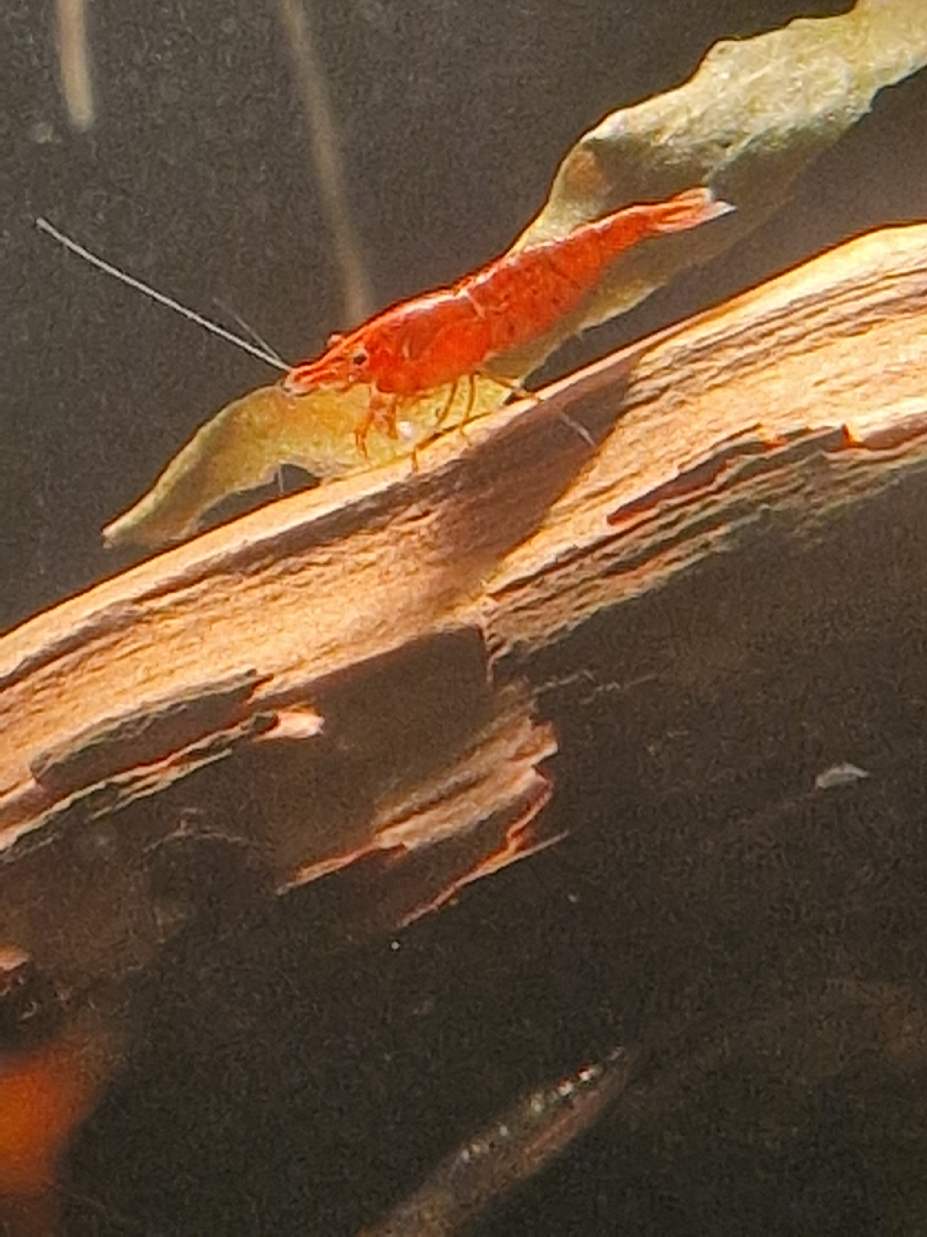 20231022_092551.jpg