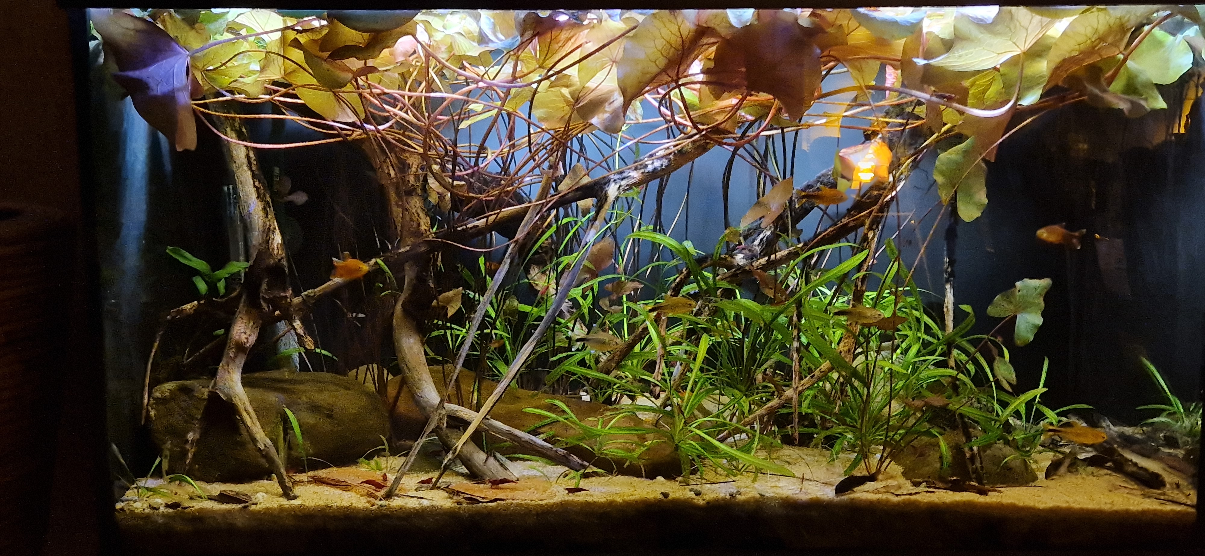 20231128_193821.jpg