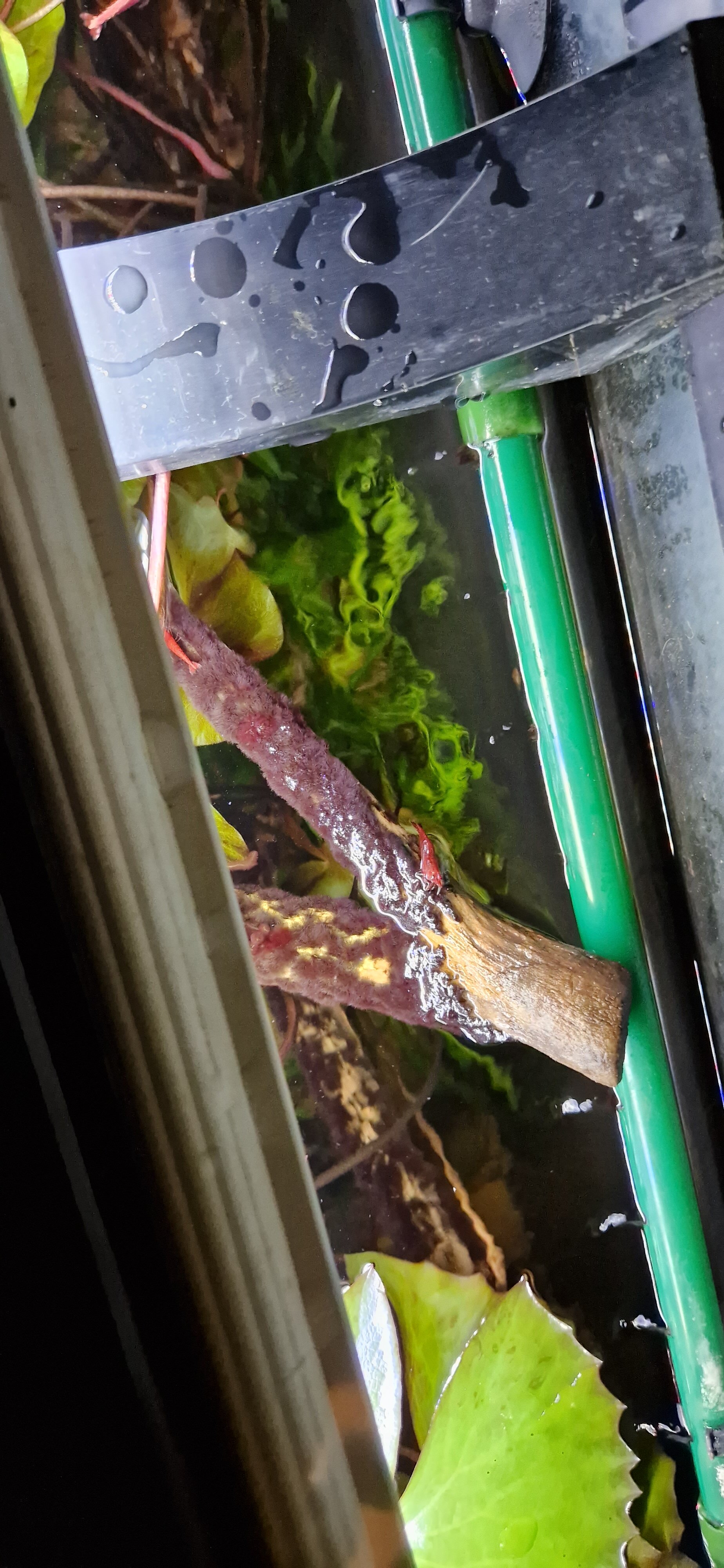 20231207_172053.jpg