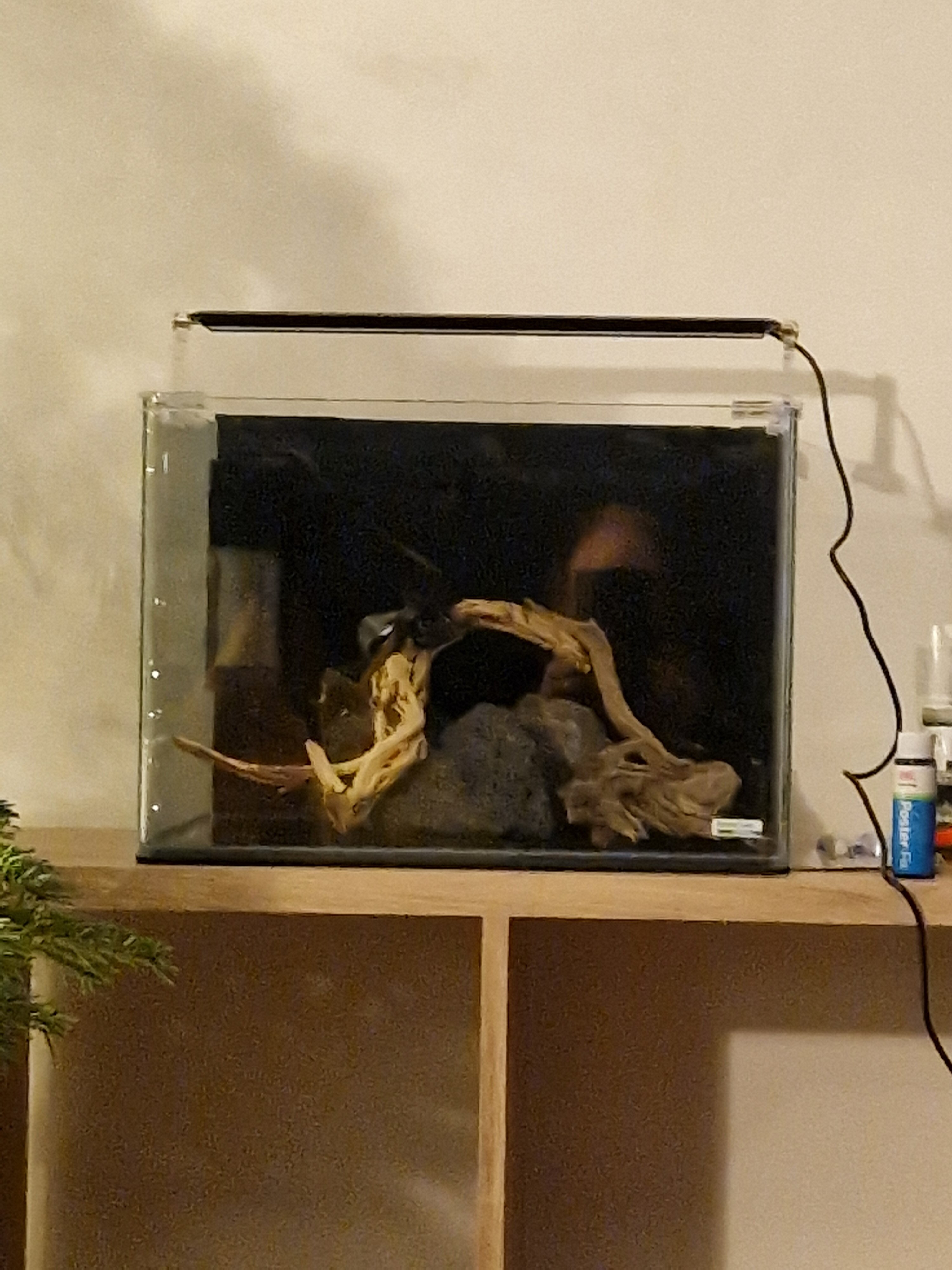 20231214_205938.jpg