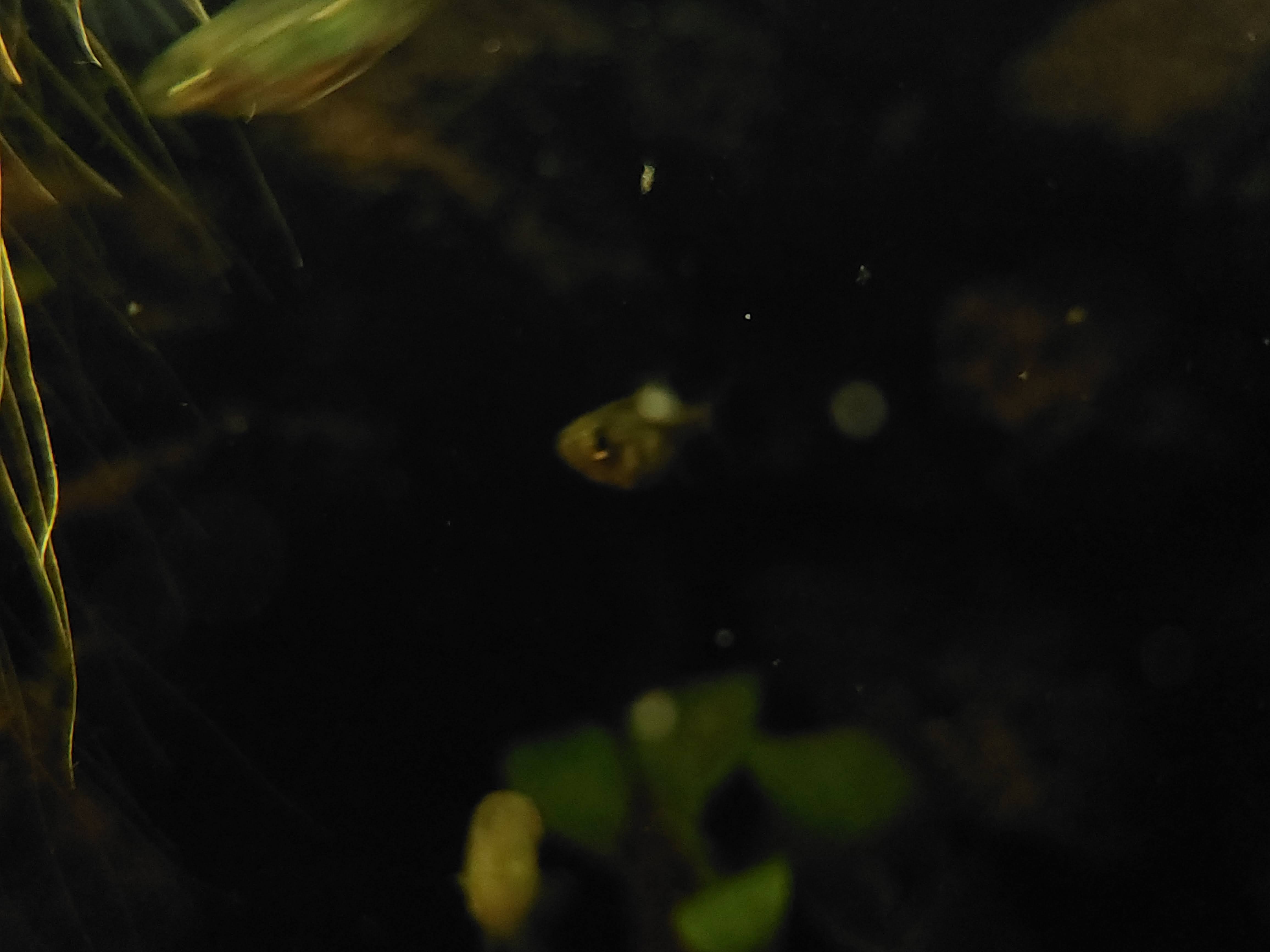 20231218_193804.jpg