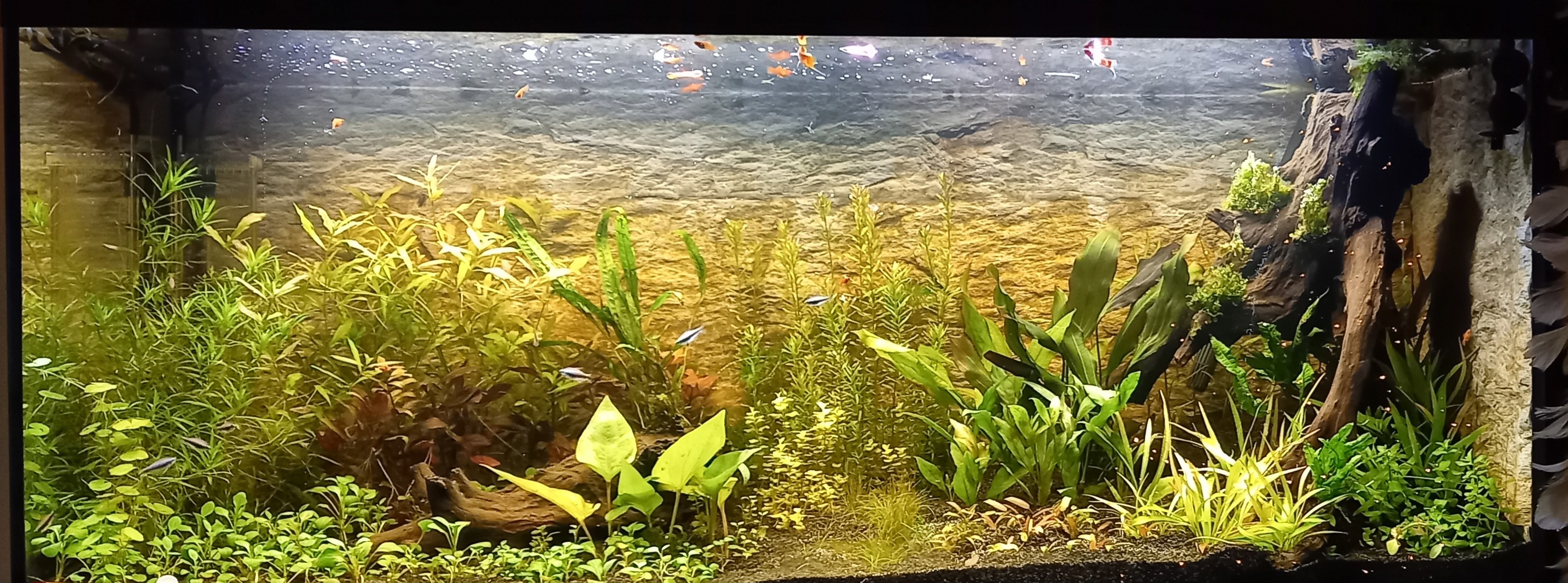 20231219_213401.jpg