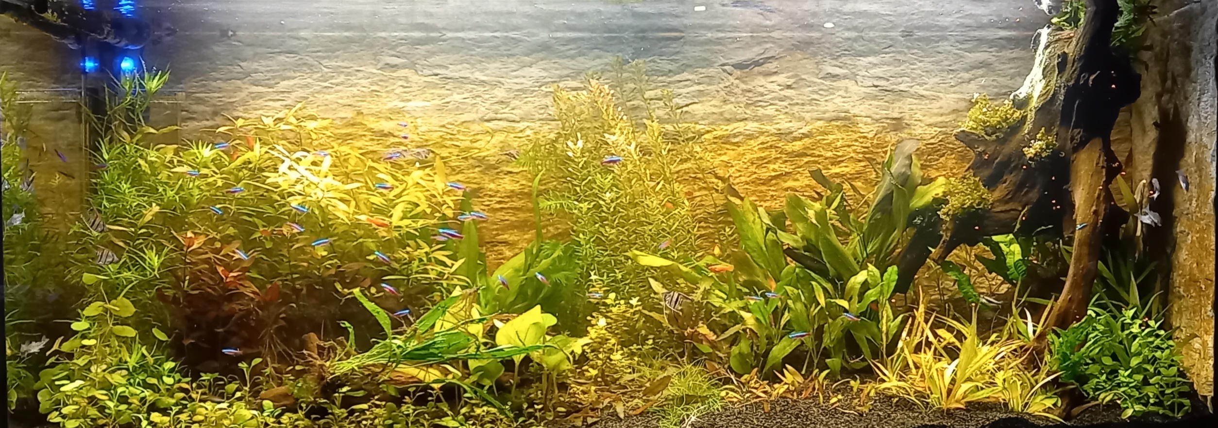 20231226_211038.jpg