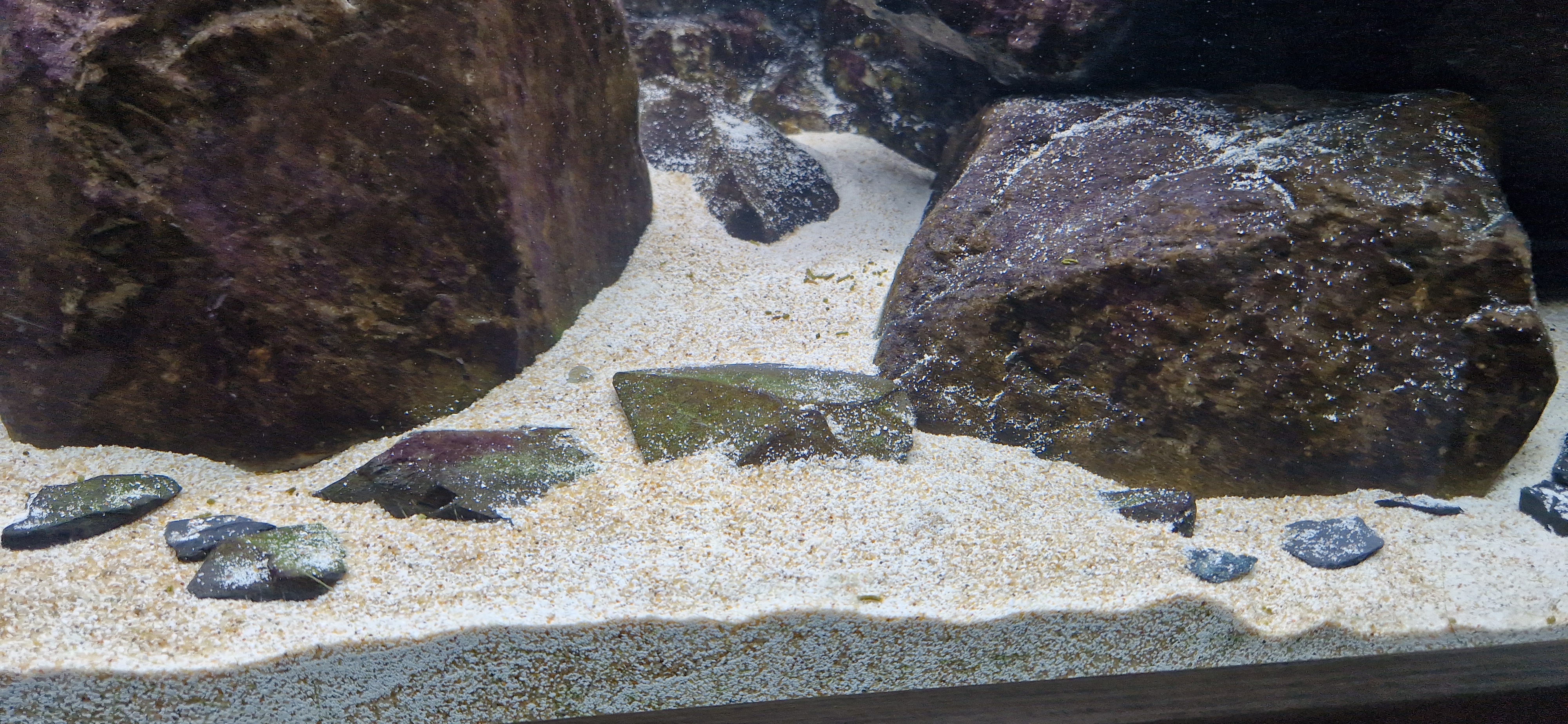 20240106_124241.jpg