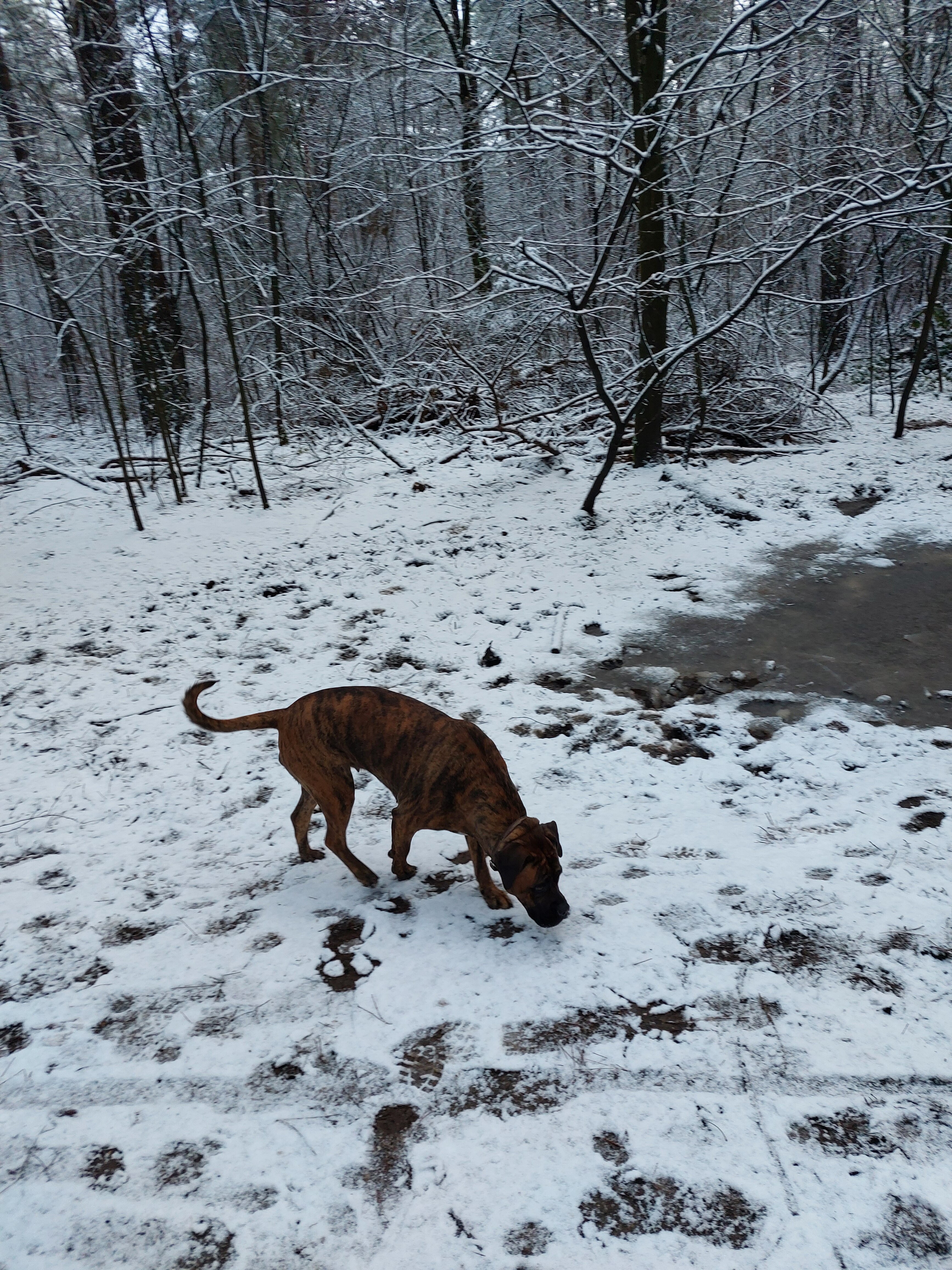 20240115_093354.jpg