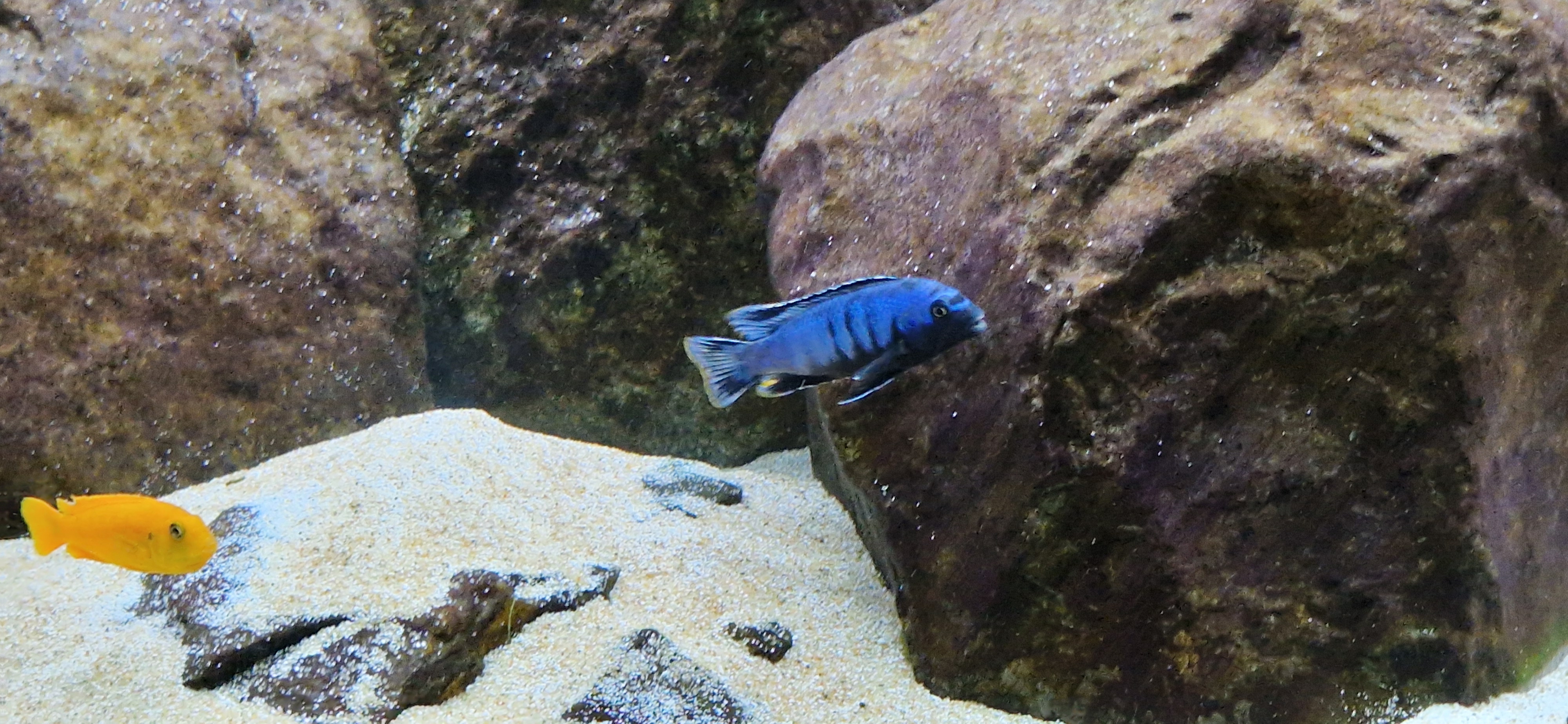 20240129_173725.jpg