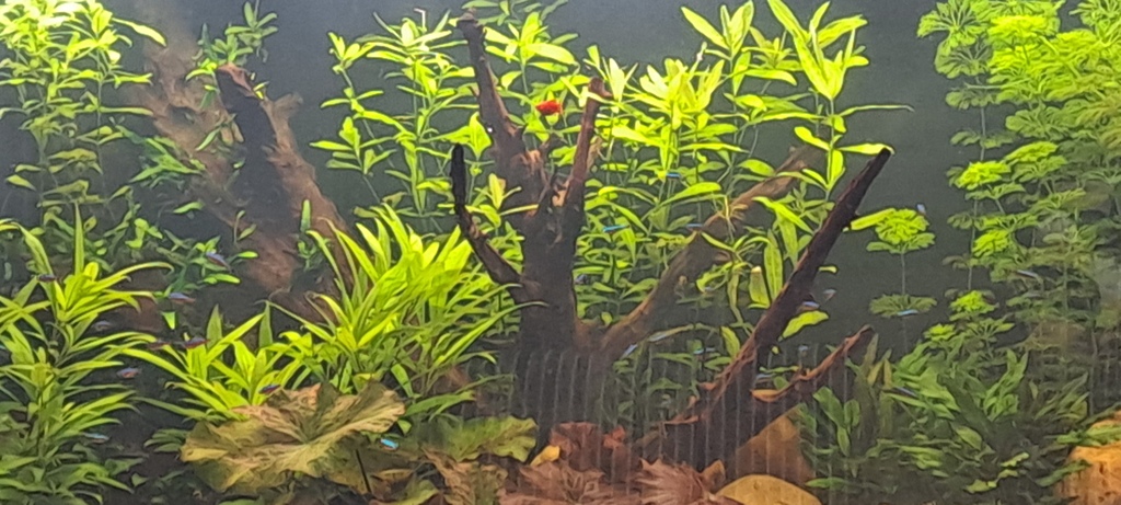 20240509_130426.jpg