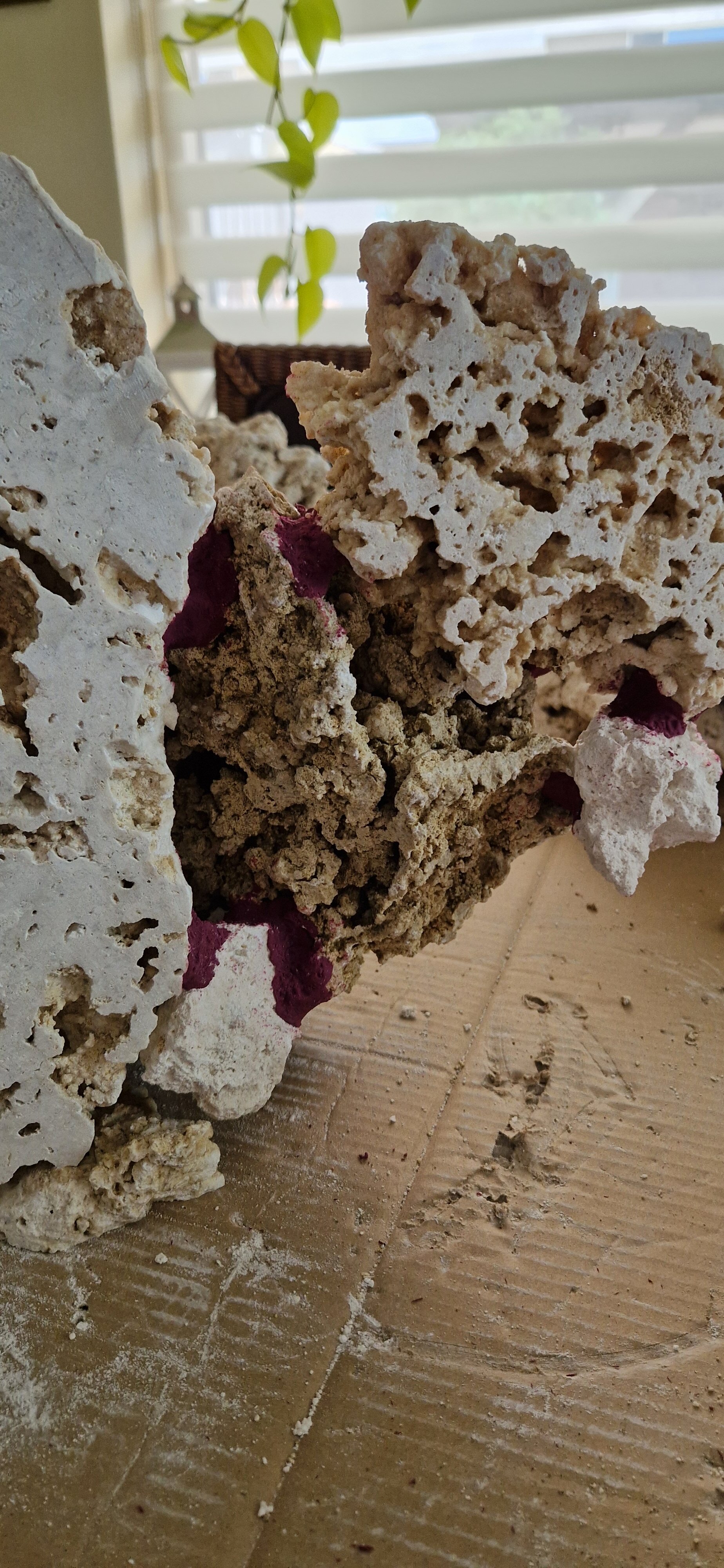 20240518_135145.jpg