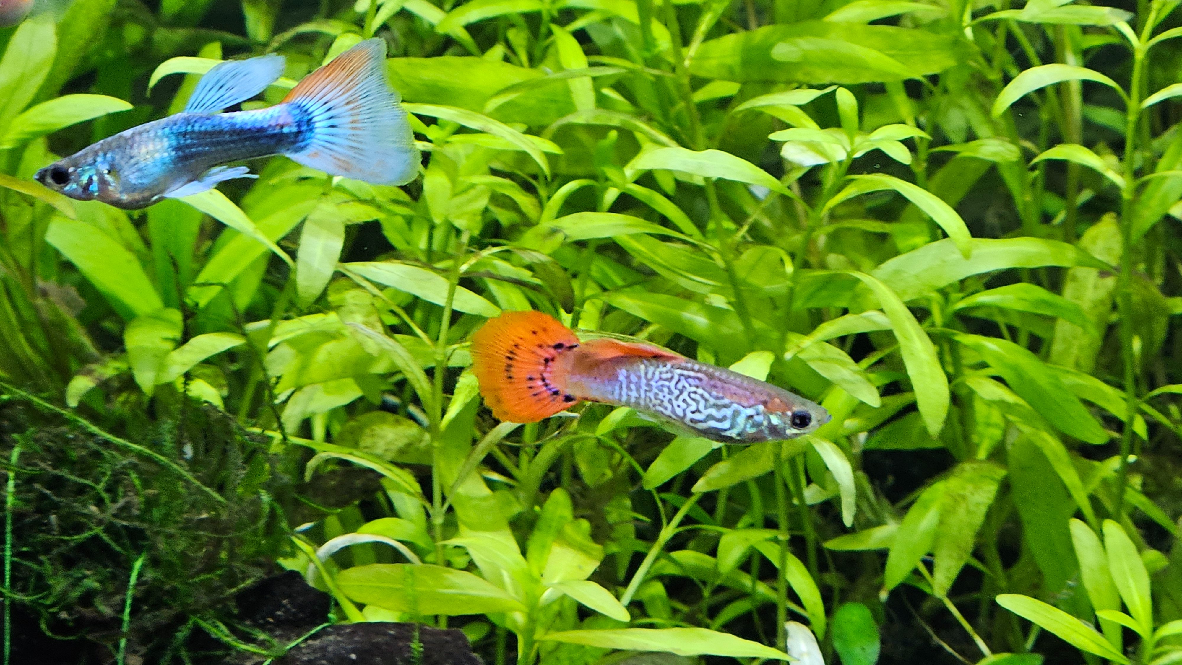 20250514_214943.jpg