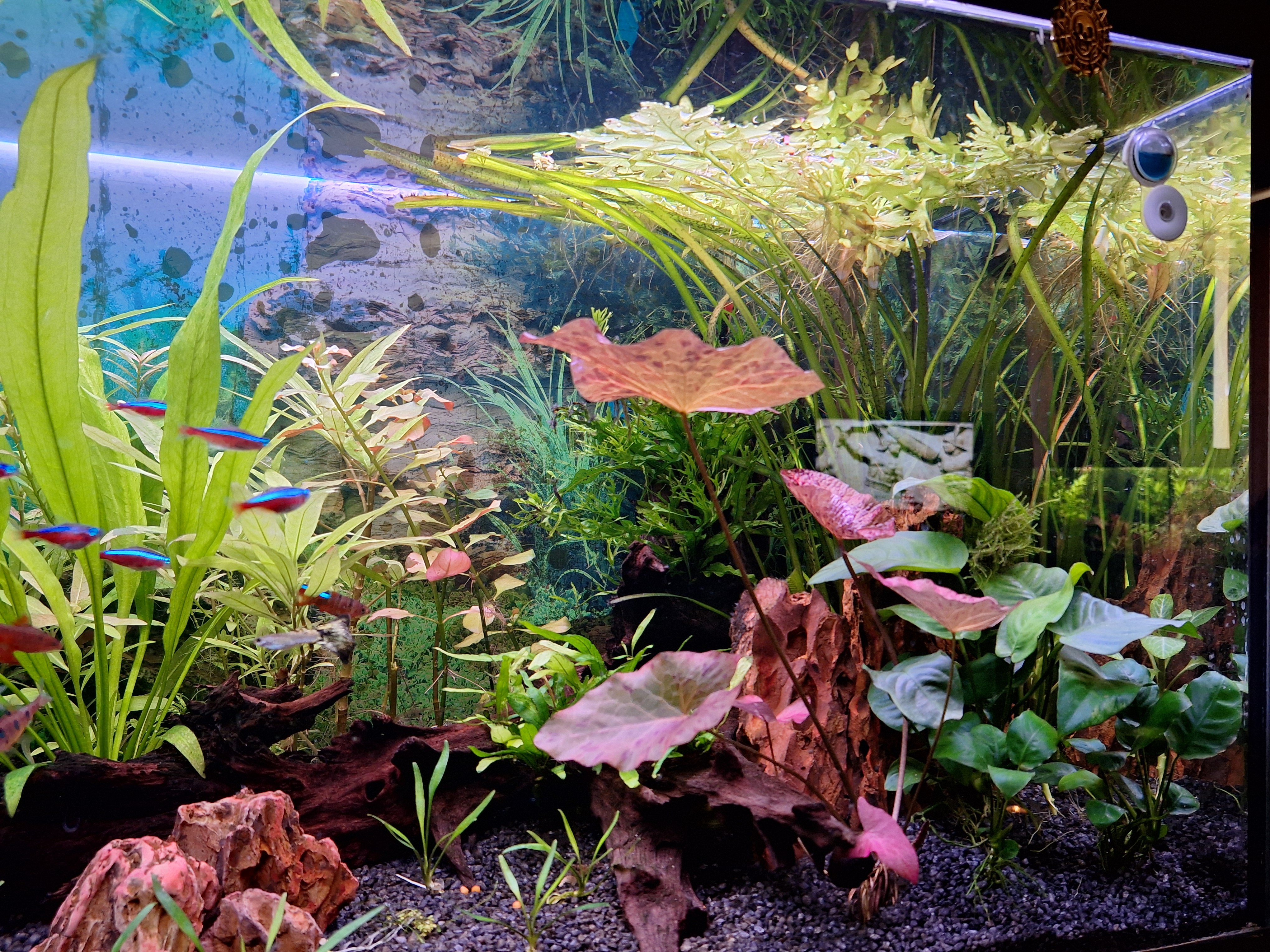 20250525_200814.jpg