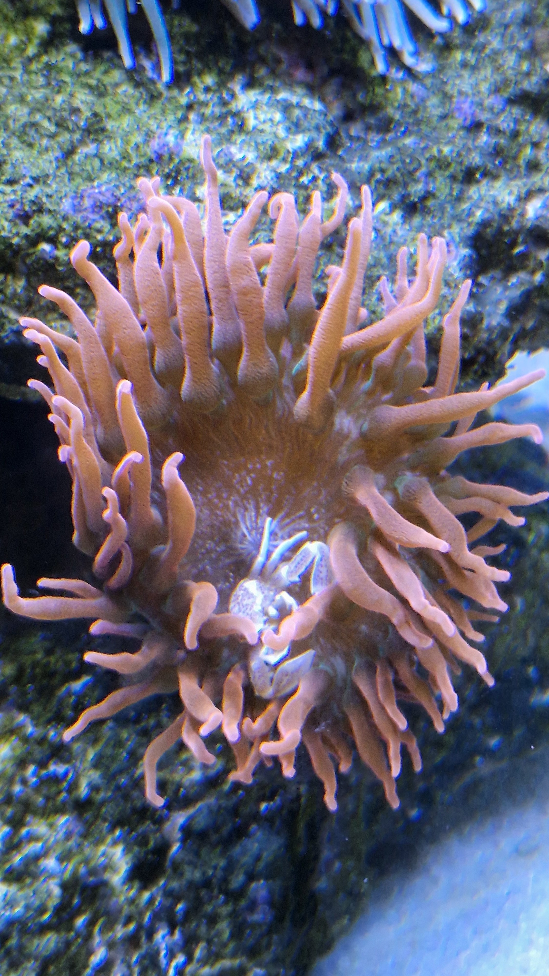 20250526_224102.jpg