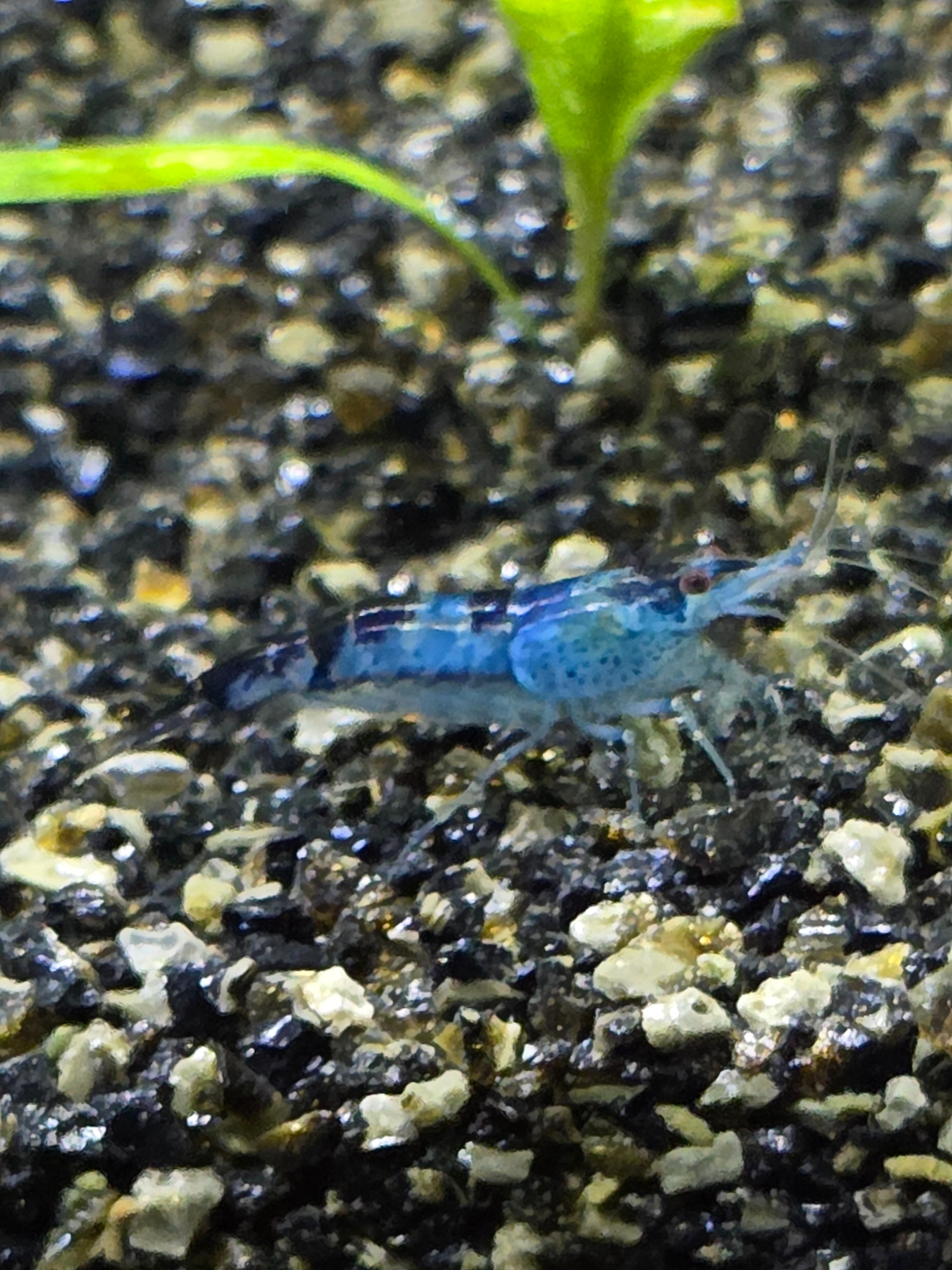 20250527_214108.jpg