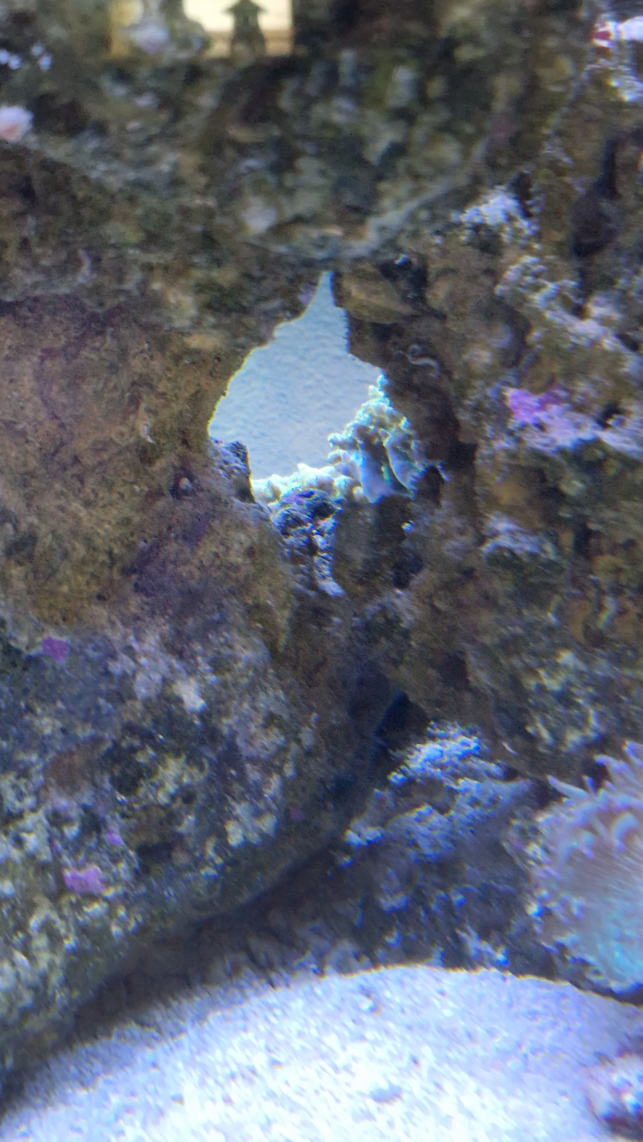 20250601_115851.jpg