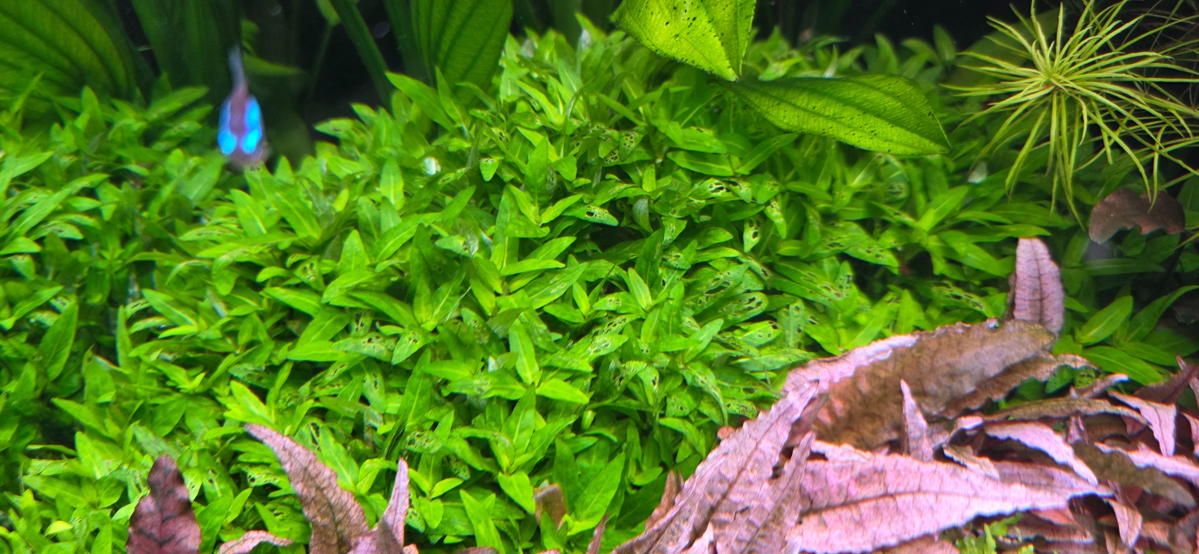 20260523_084910.jpg