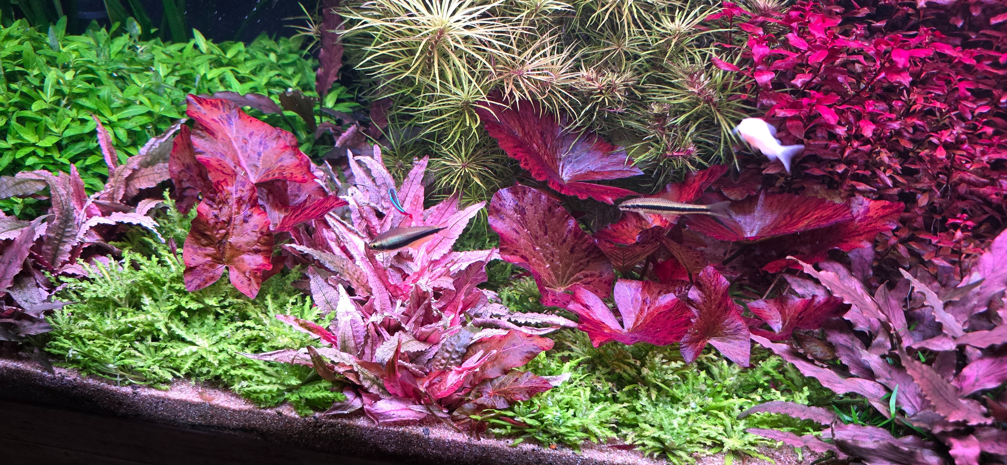20260620_092842.jpg