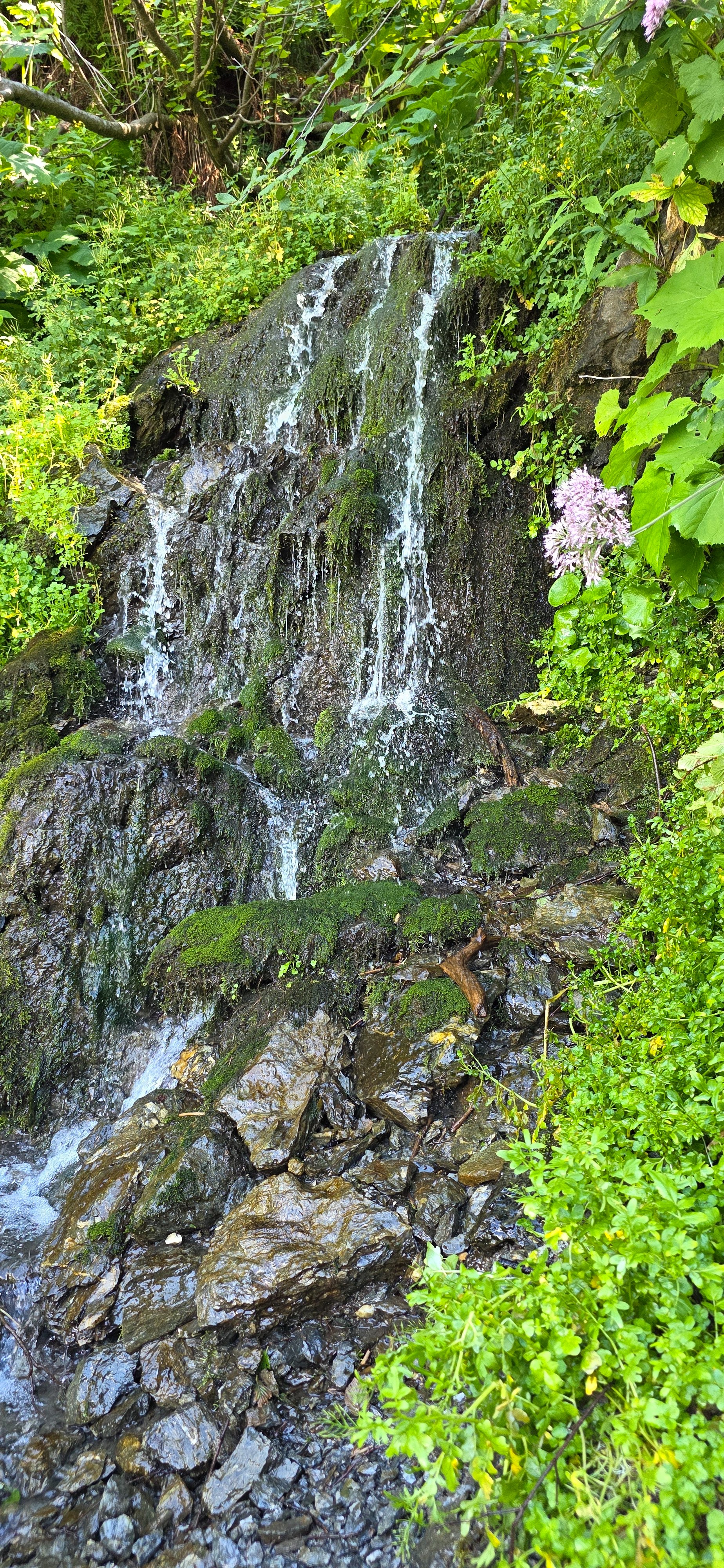 20260728_141255.jpg