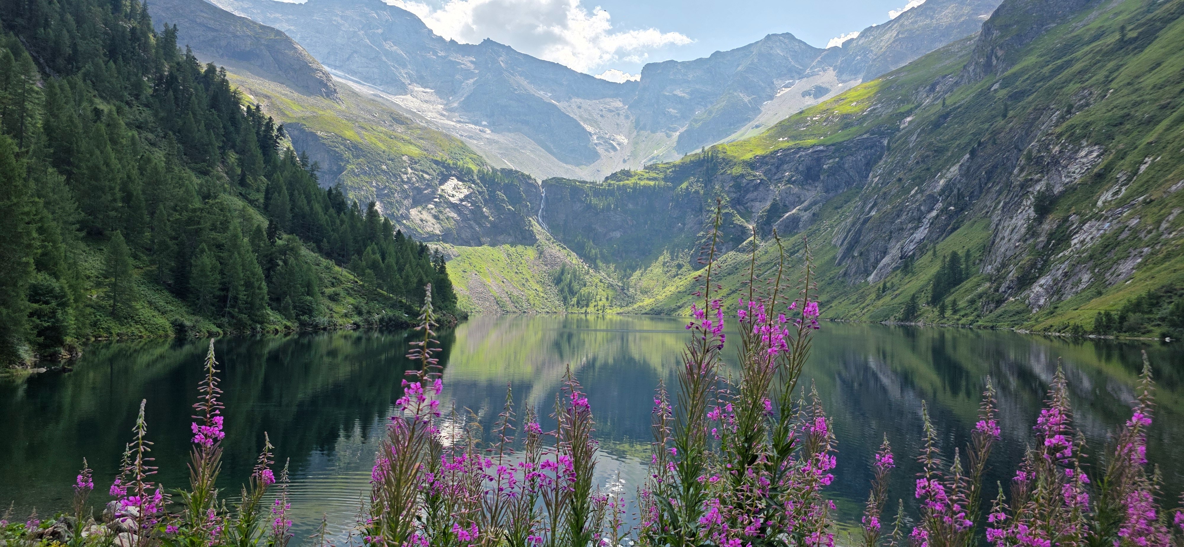 20260730_145620.jpg