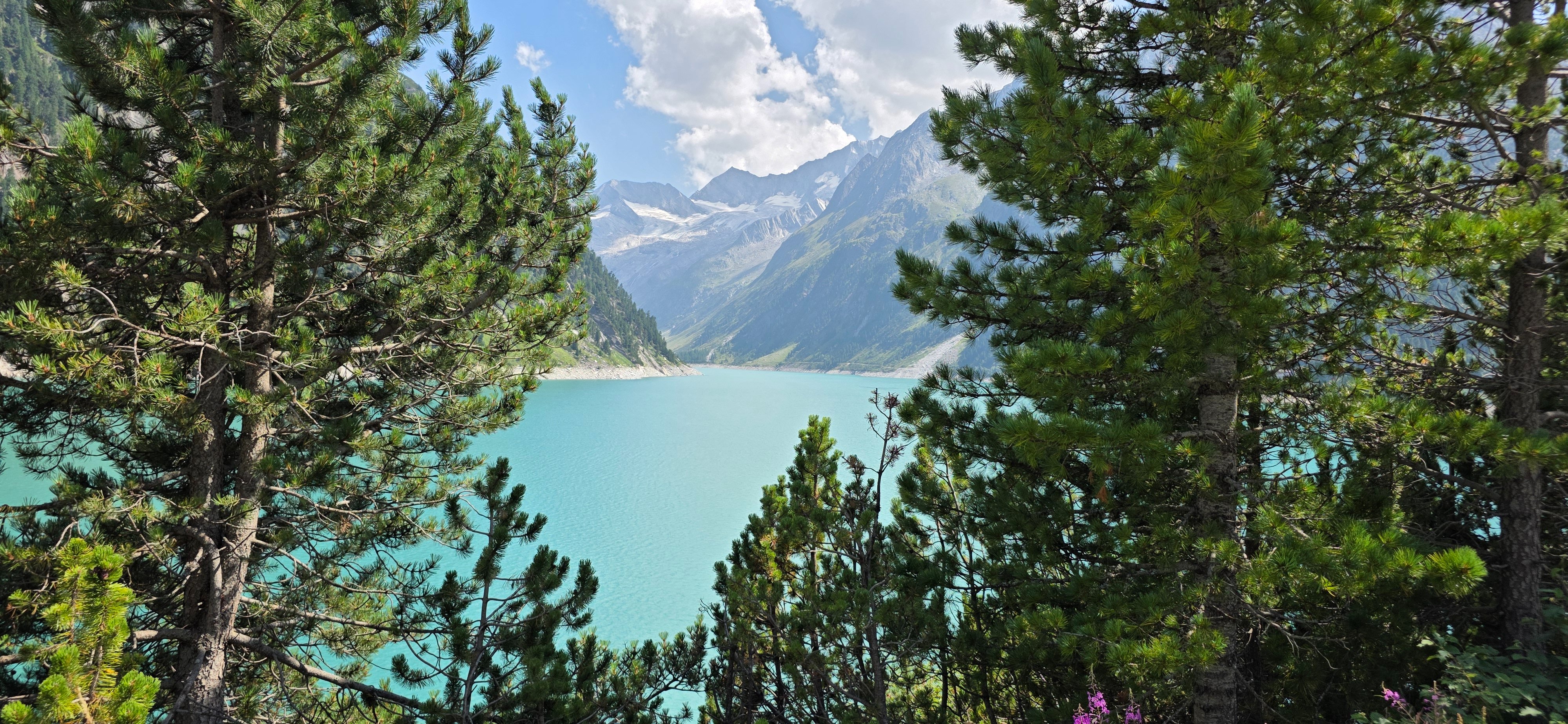 20260804_151903.jpg