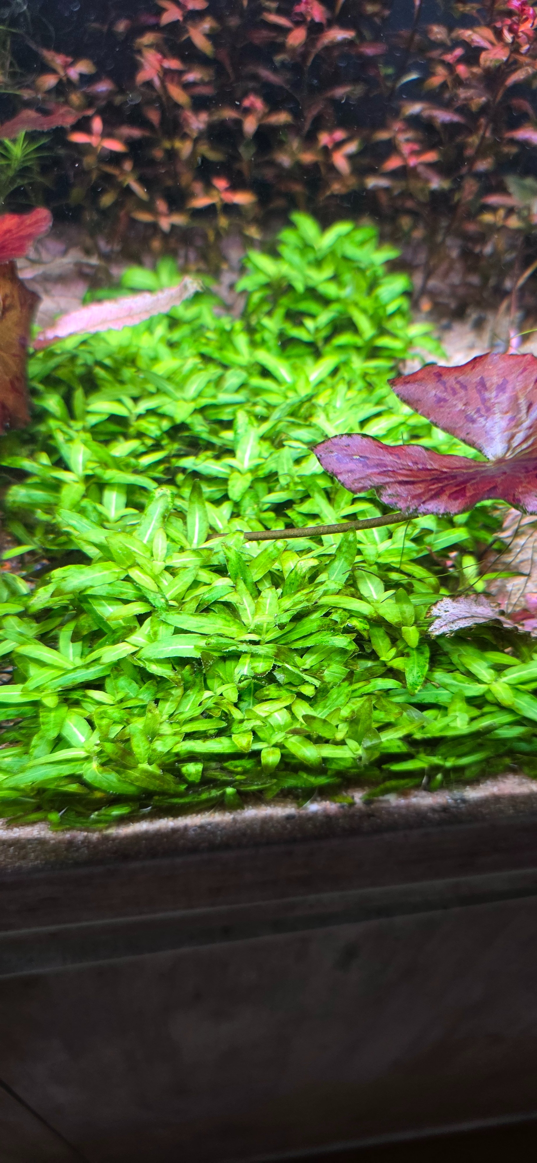 20260920_115600.jpg