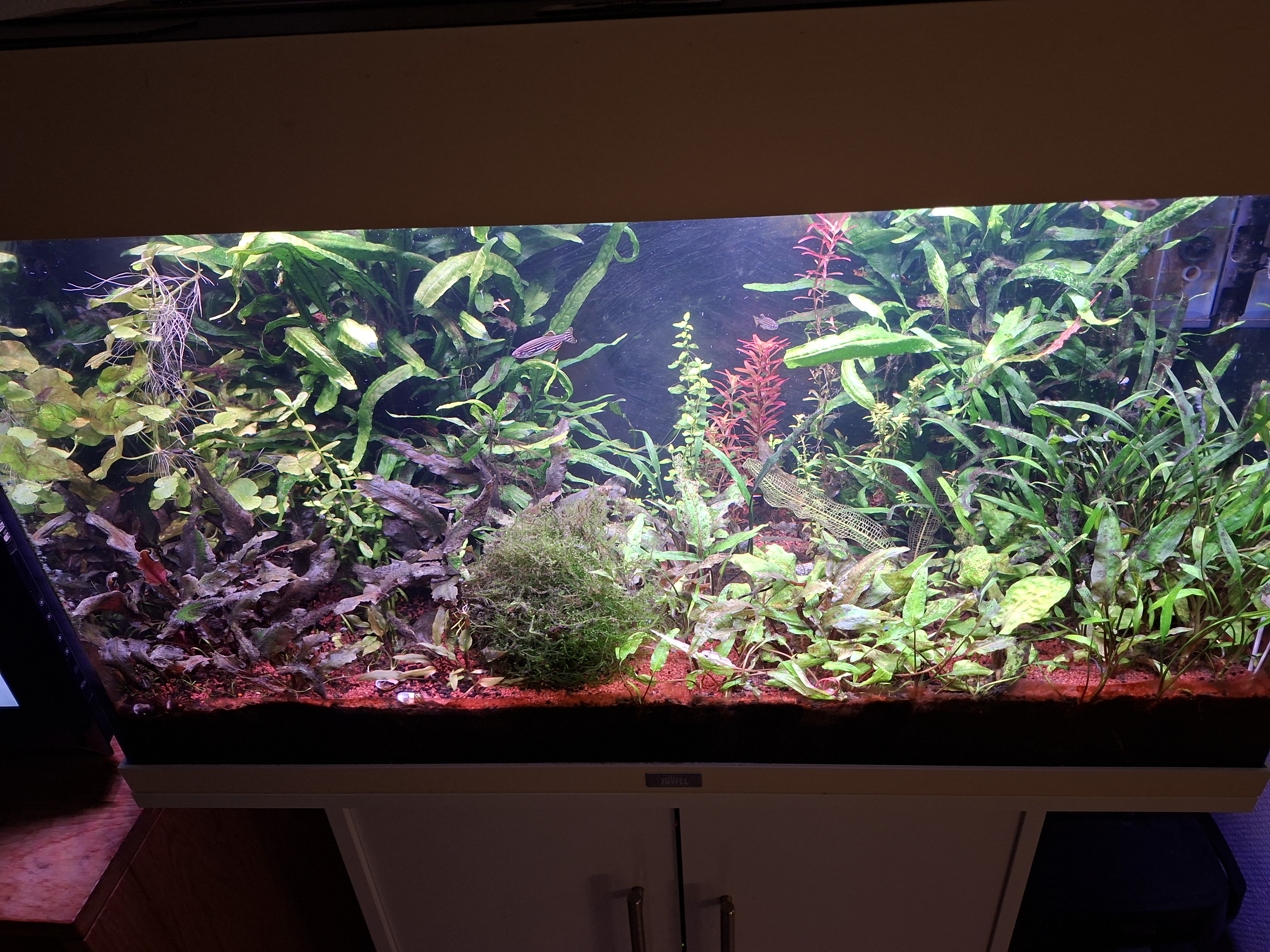 20261015_191846.jpg