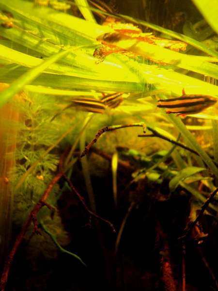 219117_0_82_dsc02805.jpg