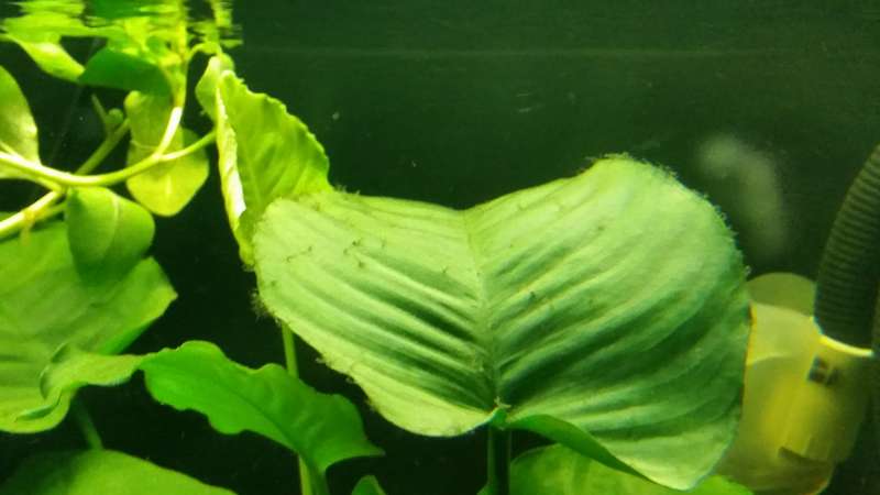 222515_0_82_20141205_1527361.jpg