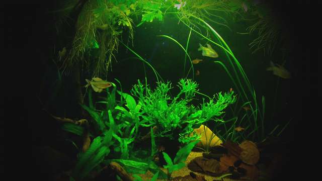 223161chris10_0_82_imag0498.jpg
