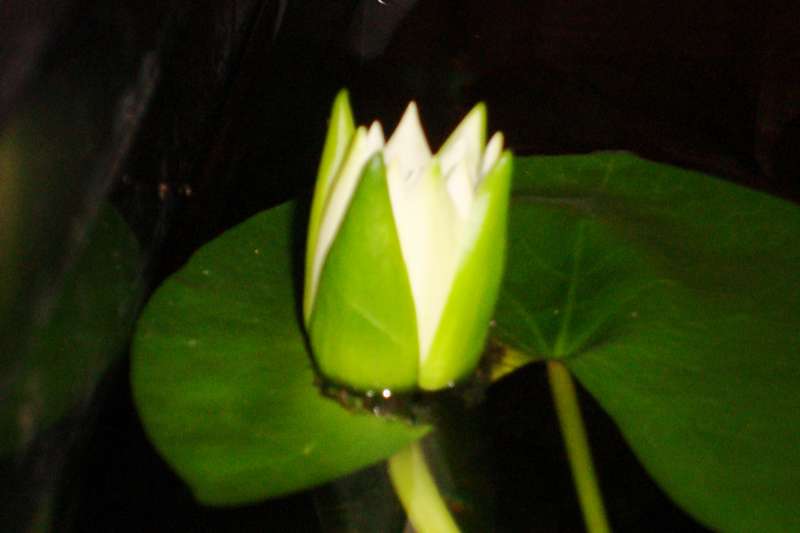 231761_0_82_dsc03940.jpg