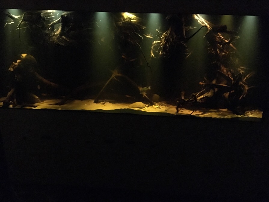 2328BD06-AB60-4607-8BD5-F33C0E345C77_zpszoutptfd.jpg