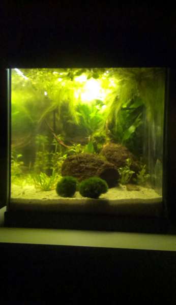 233165anneb_0_82_aqua60overzicht2zijkant.jpg