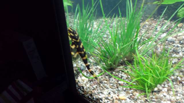 235952_0_82_20140202_203343.jpg