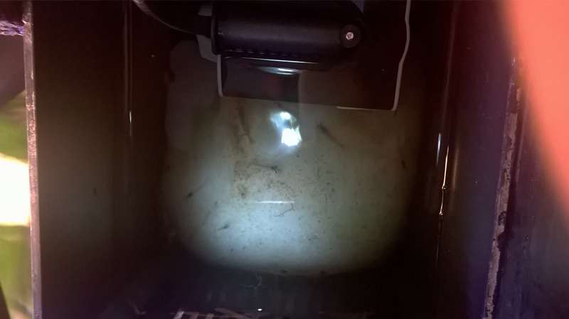 237646apistogrammatjuuuh_0_82_wp_20160225_16_30_05_pro.jpg