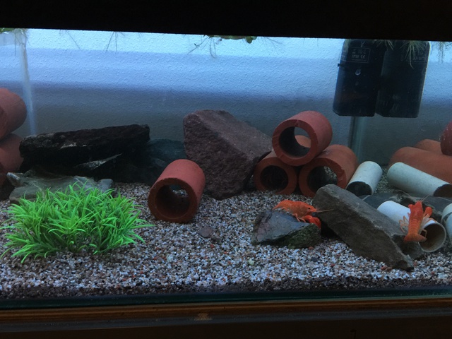 246585pirke64_0_85_aquariu.jpg
