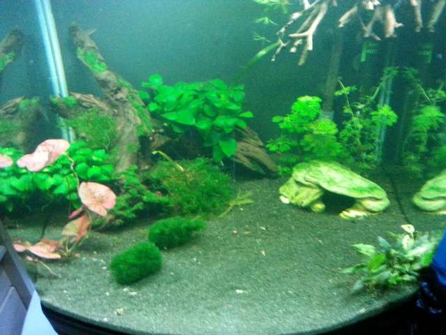 247433_0_82_20150224_182110.jpg