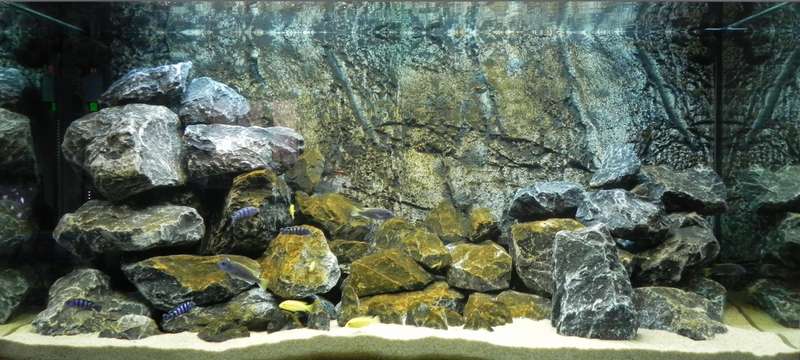 253356_0_82_trofis_totaal_met_vis.jpg