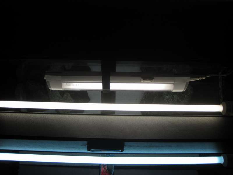 255931nilo1804_0_82_img_1751.jpg