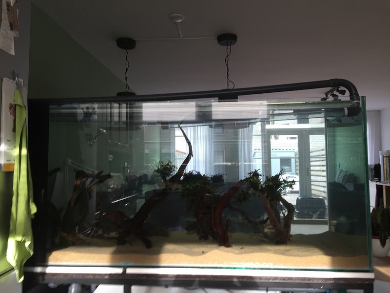 262486tuinkabouter_0_85_guppenbakke.jpg