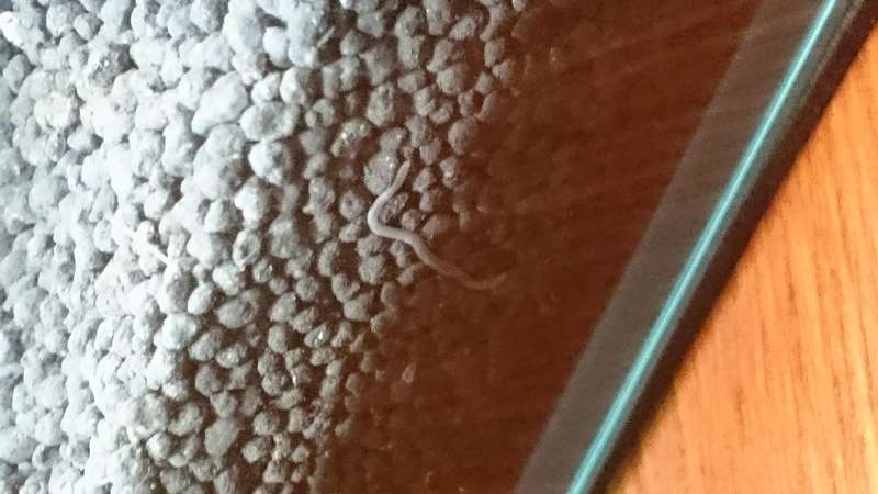 267542richd_0_82_dsc_0589.jpg