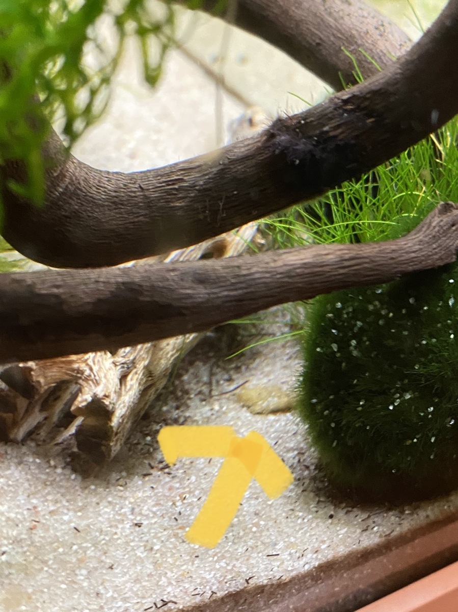 269E50D8-08E7-40F6-BD56-99128D4C53A7.jpeg