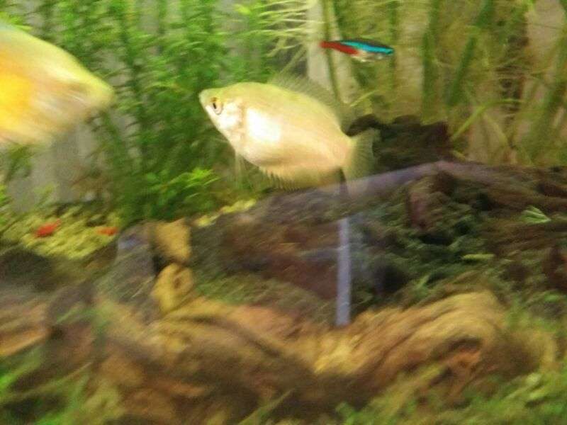 272177_0_82_img20140609wa0034.jpg