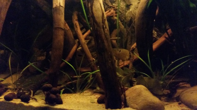 277818vonhinten_0_84_vonhinten_aqua_41.jpg