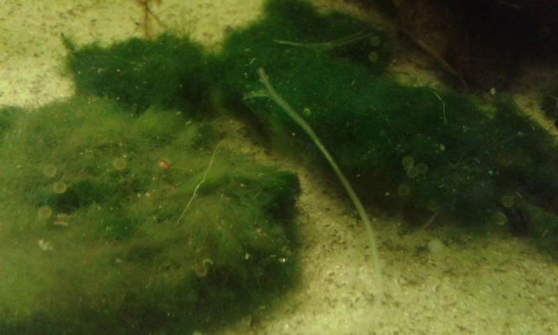 293159_0_82_20140512_123836.jpg